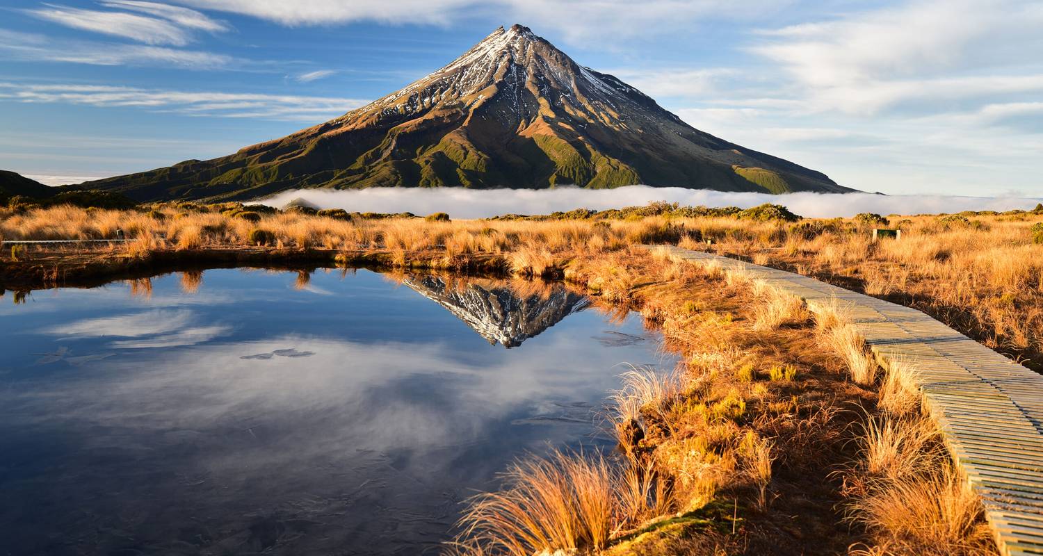 New Zealand Vanlife: North Island & Road Trip Wonders | ScenicTours.co.nz